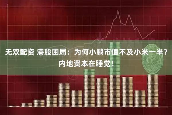 无双配资 港股困局：为何小鹏市值不及小米一半？内地资本在睡觉！